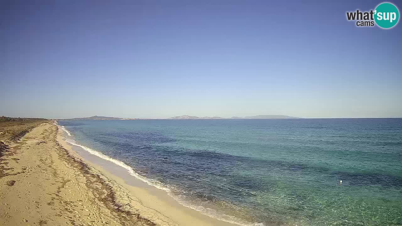 Strand Le Saline webcam Stintino – Sardinien