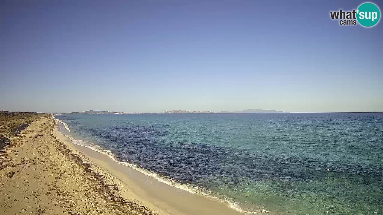 Plaža Le Saline web kamera Stintino – Sardinija