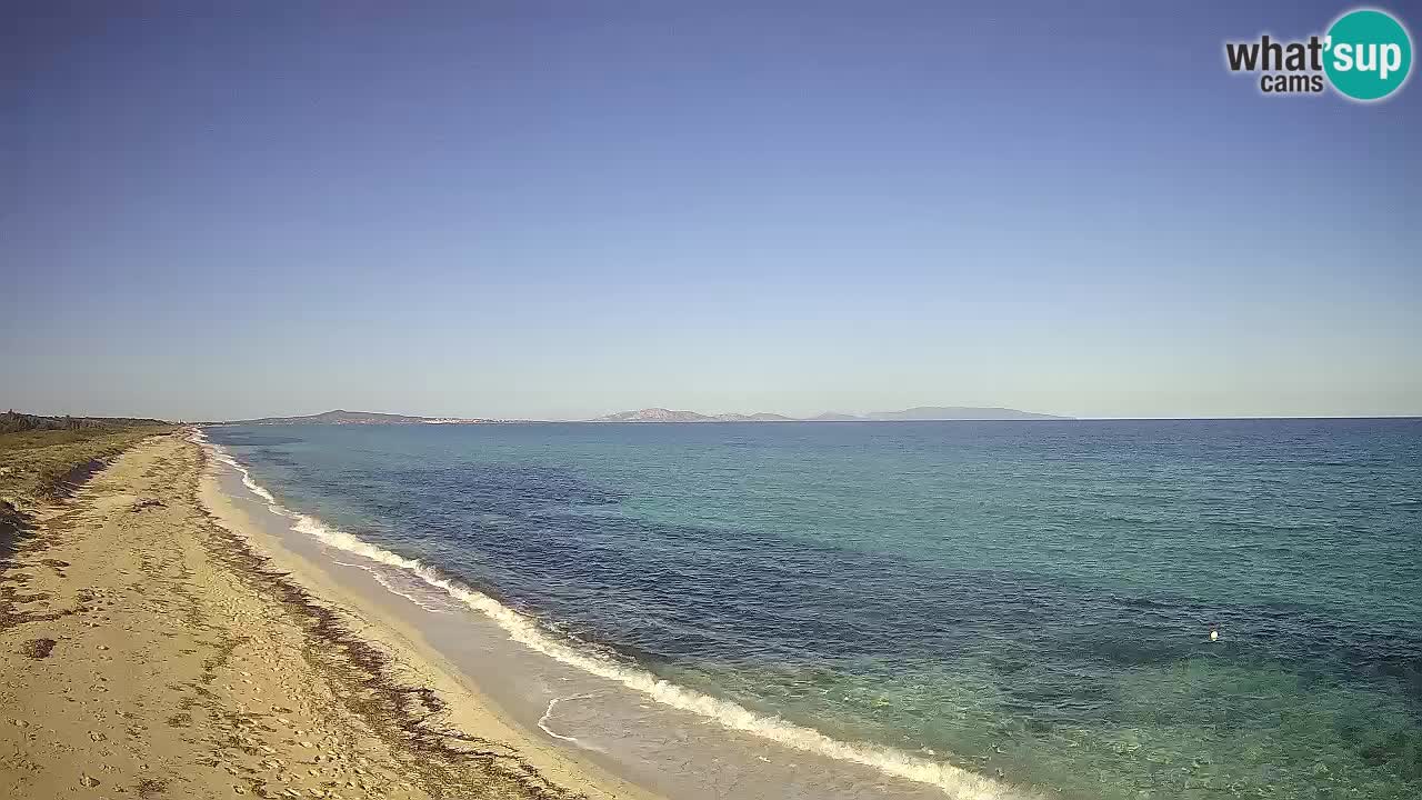 Playa Le Saline camera en vivo Stintino – Cerdeña