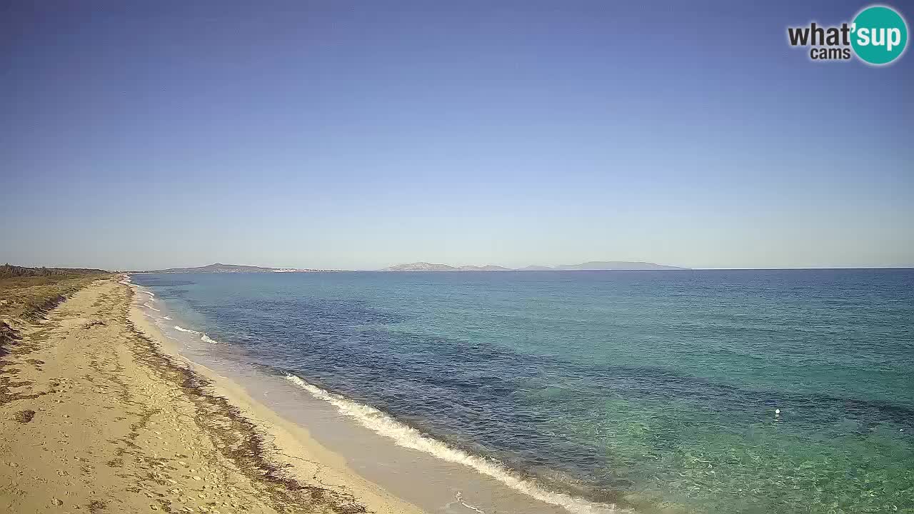 Plaža Le Saline web kamera Stintino – Sardinija