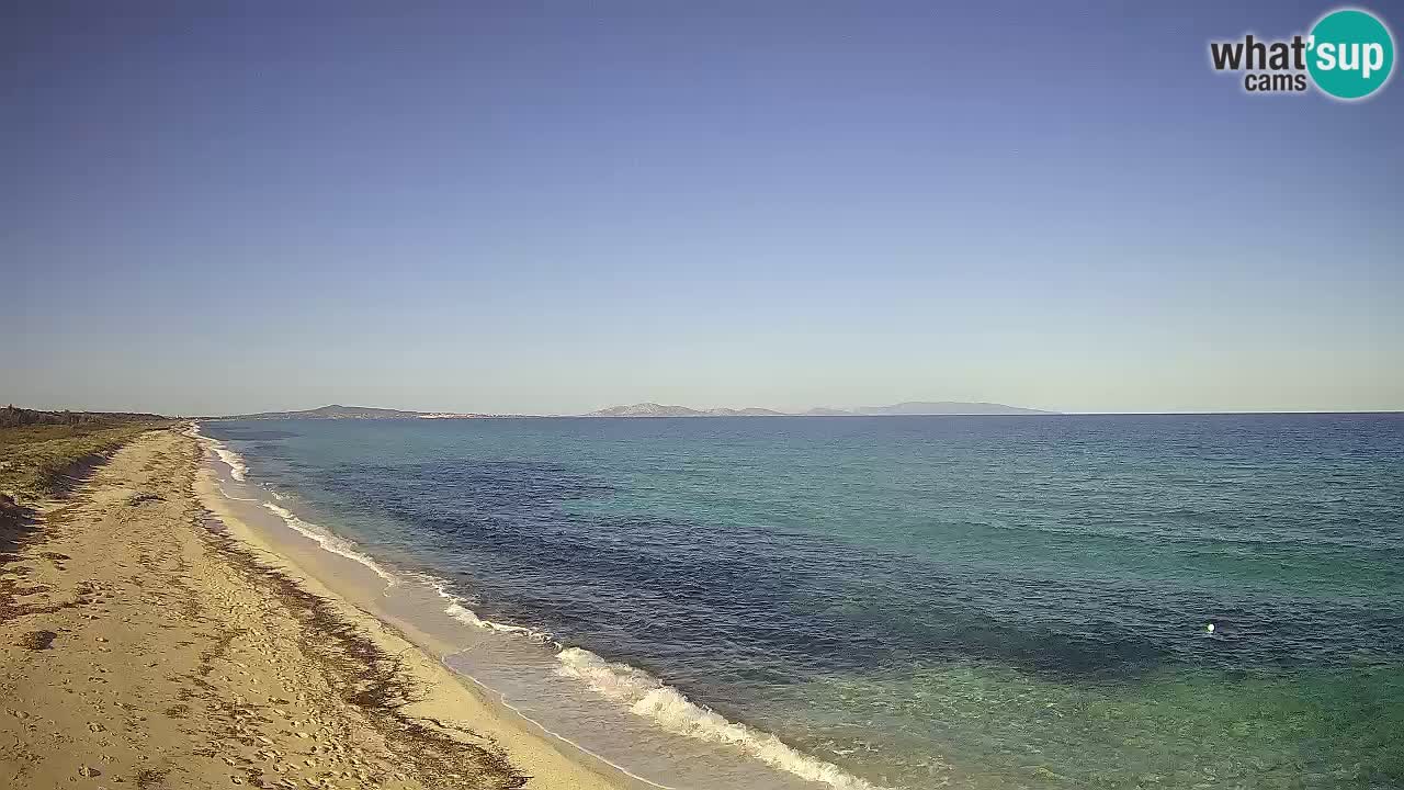 Plaža Le Saline spletna kamera Stintino – Sardinija