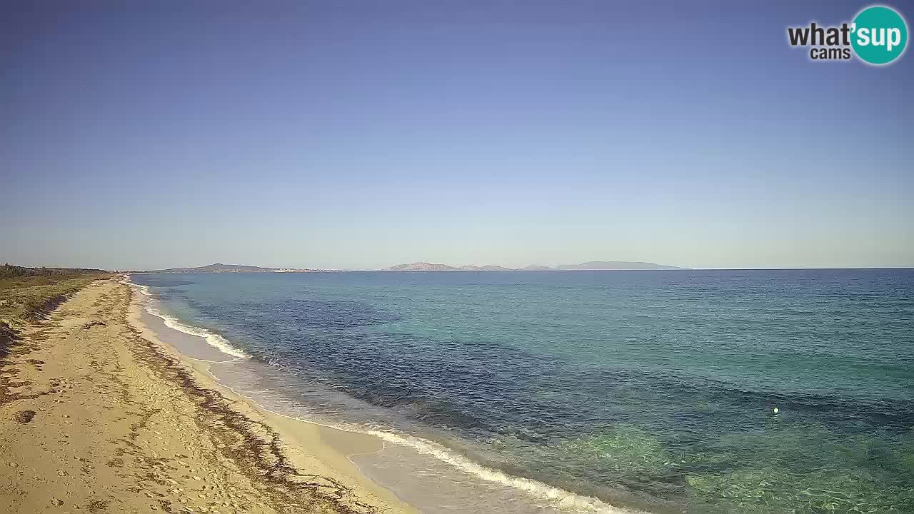 Plaža Le Saline spletna kamera Stintino – Sardinija