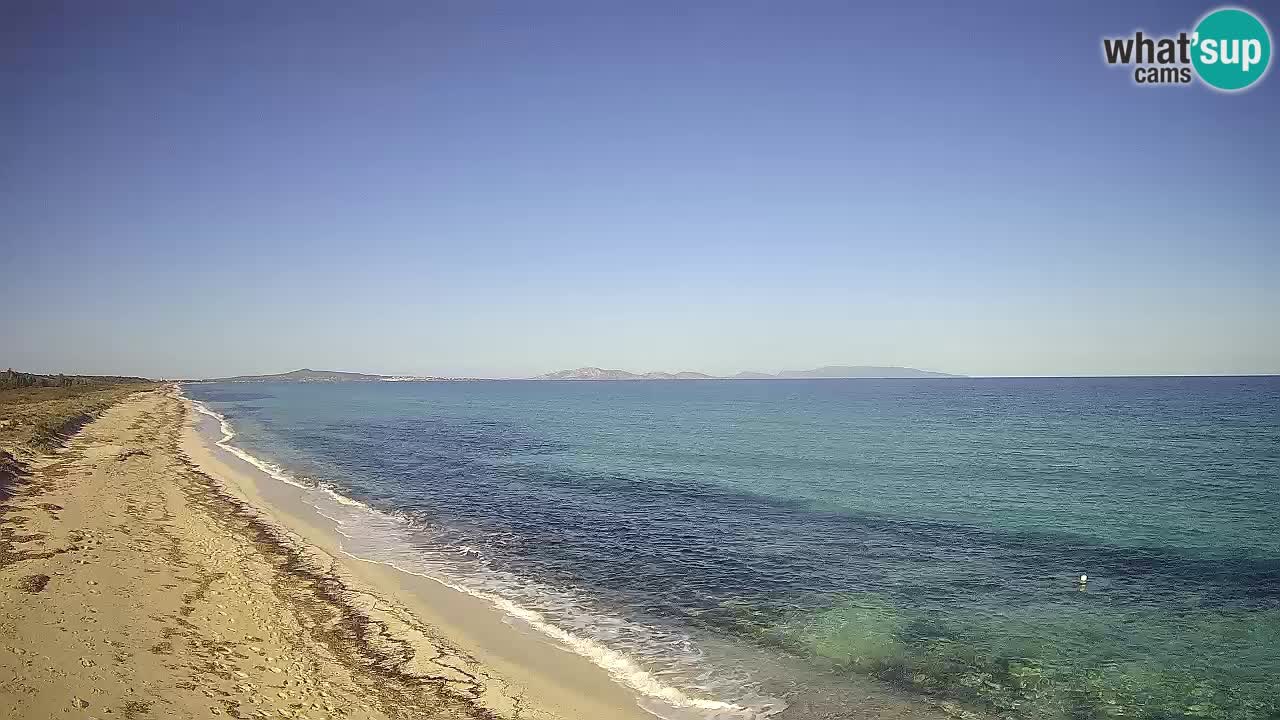 Plaža Le Saline spletna kamera Stintino – Sardinija