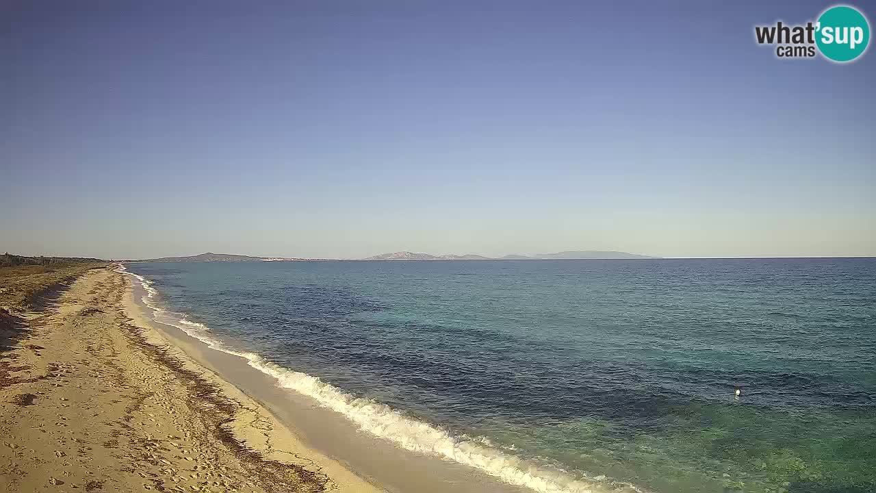 Plaža Le Saline spletna kamera Stintino – Sardinija