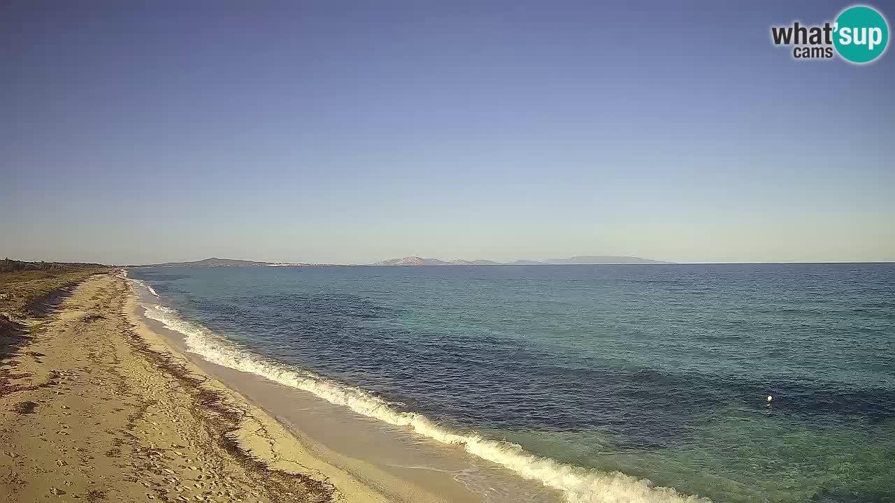 Spiaggia Le Saline webcam Stintino – Sardegna