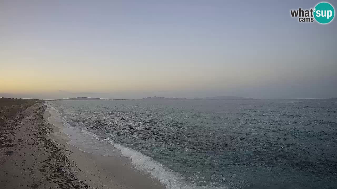 Playa Le Saline camera en vivo Stintino – Cerdeña