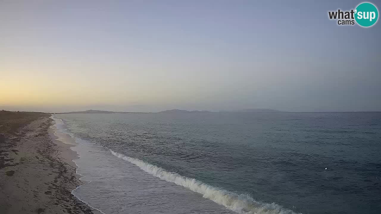 Spiaggia Le Saline webcam Stintino – Sardegna