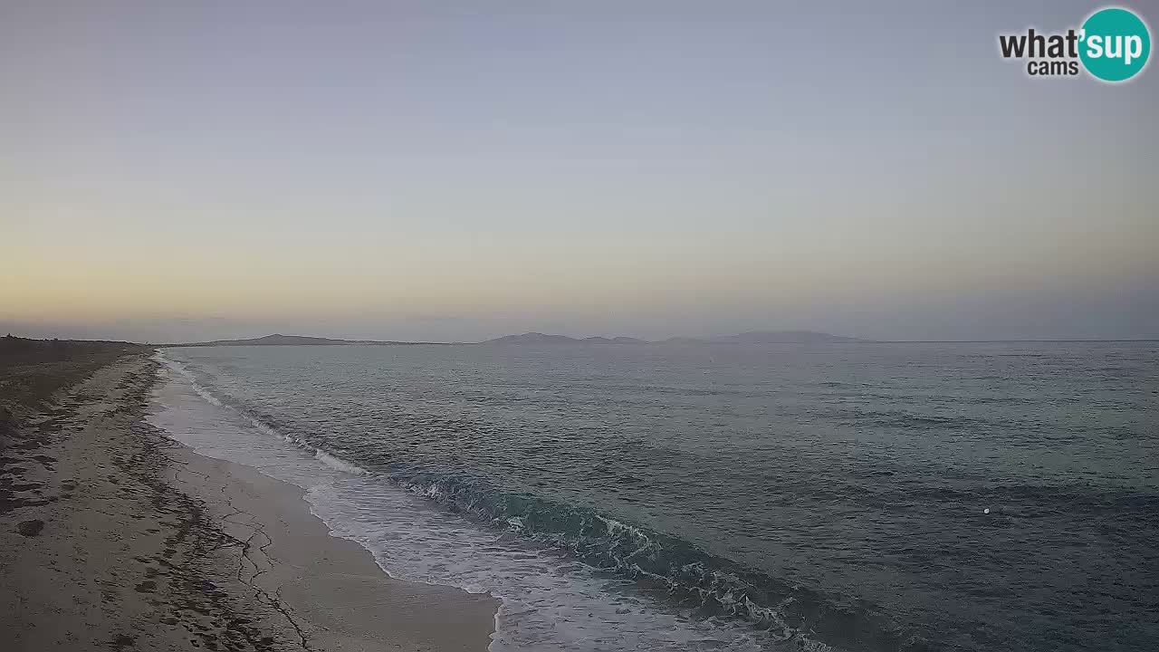 Plaža Le Saline spletna kamera Stintino – Sardinija