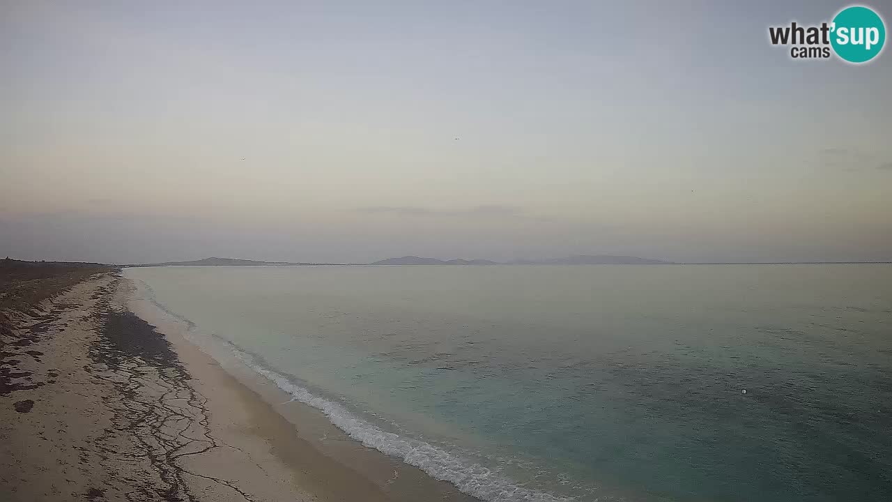 Plaža Le Saline spletna kamera Stintino – Sardinija