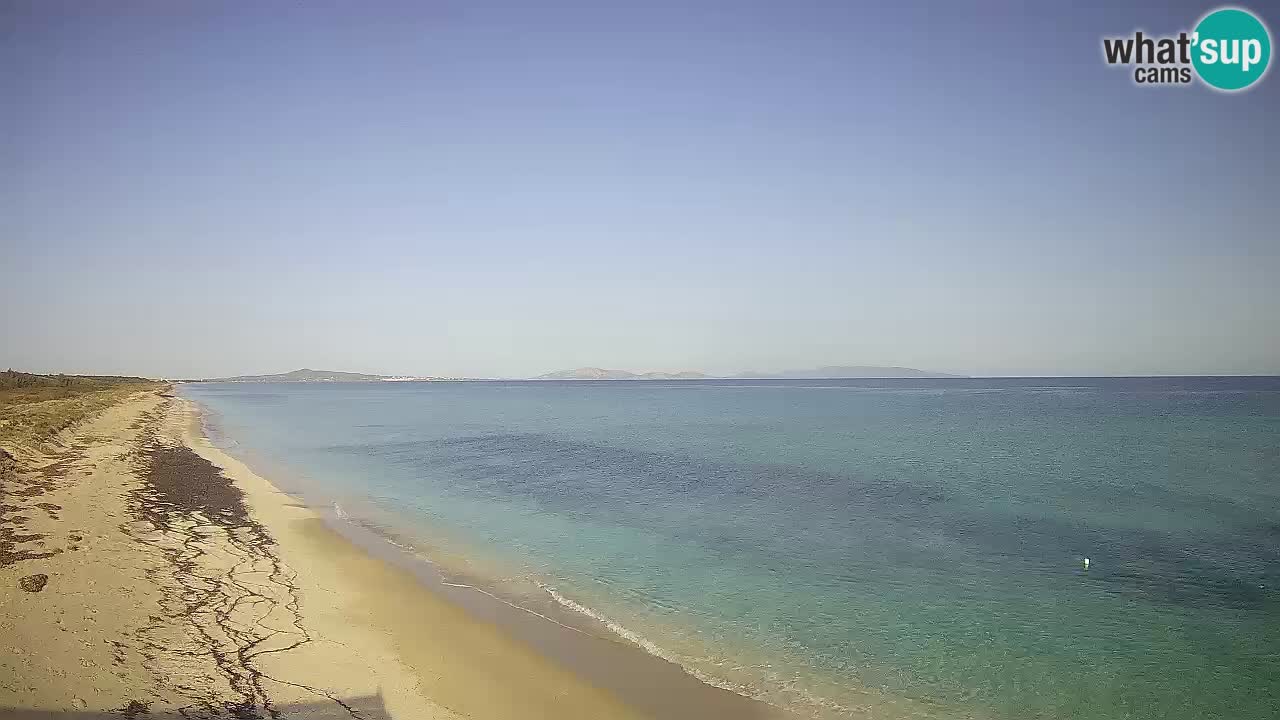 Playa Le Saline camera en vivo Stintino – Cerdeña