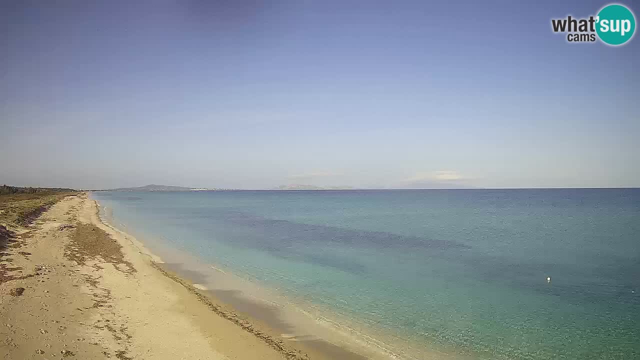 Plaža Le Saline web kamera Stintino – Sardinija