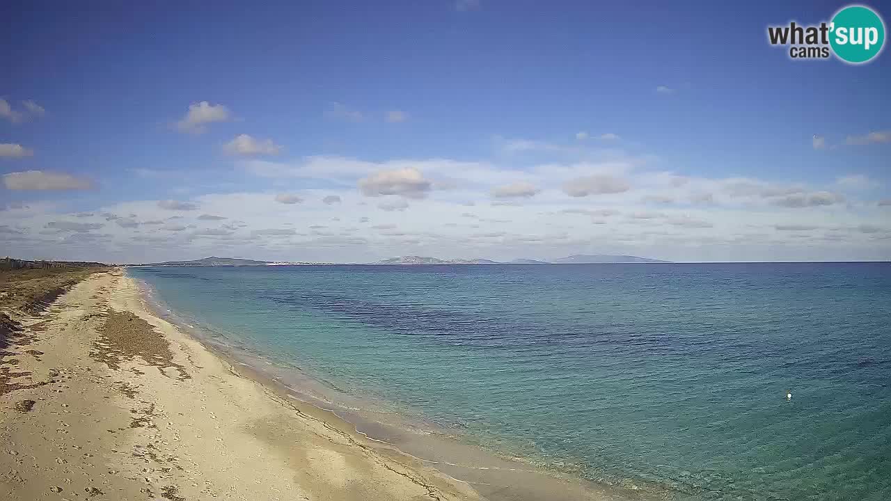 Plaža Le Saline web kamera Stintino – Sardinija