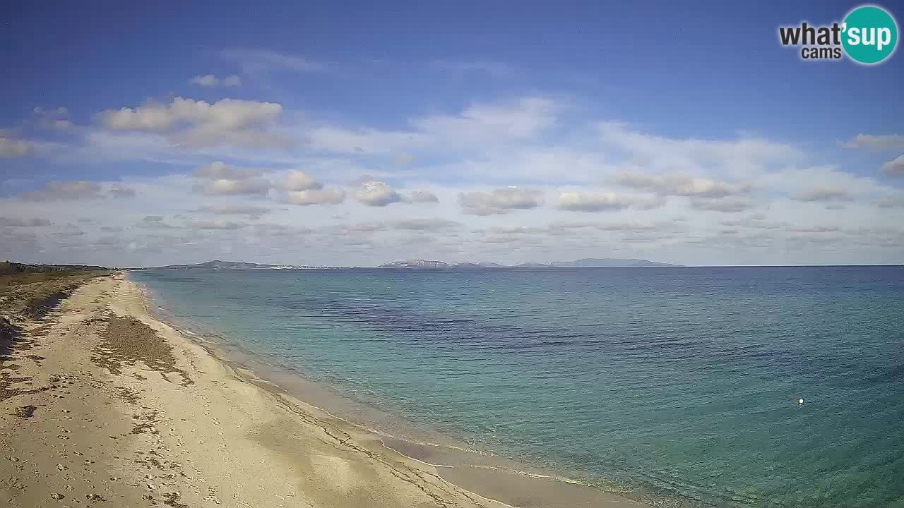 Playa Le Saline camera en vivo Stintino – Cerdeña