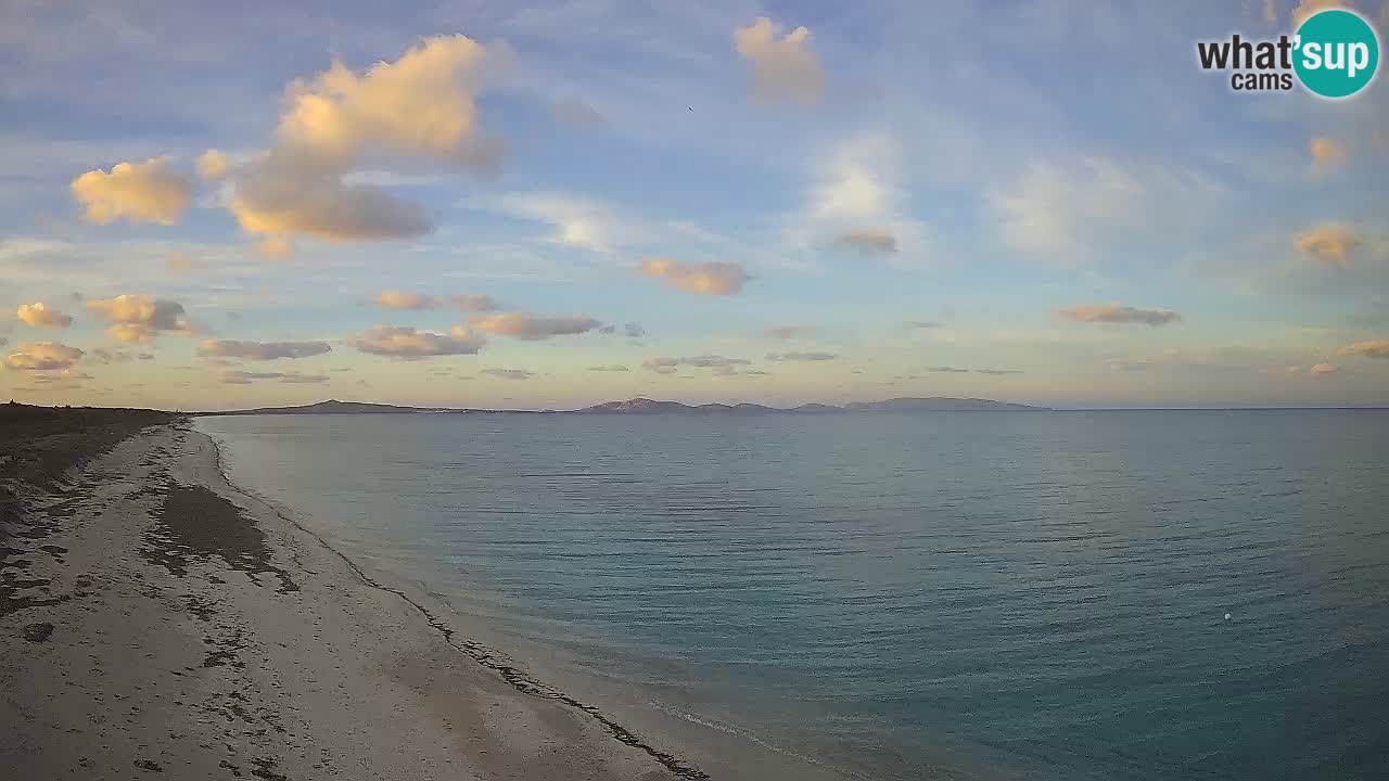 Plaža Le Saline web kamera Stintino – Sardinija