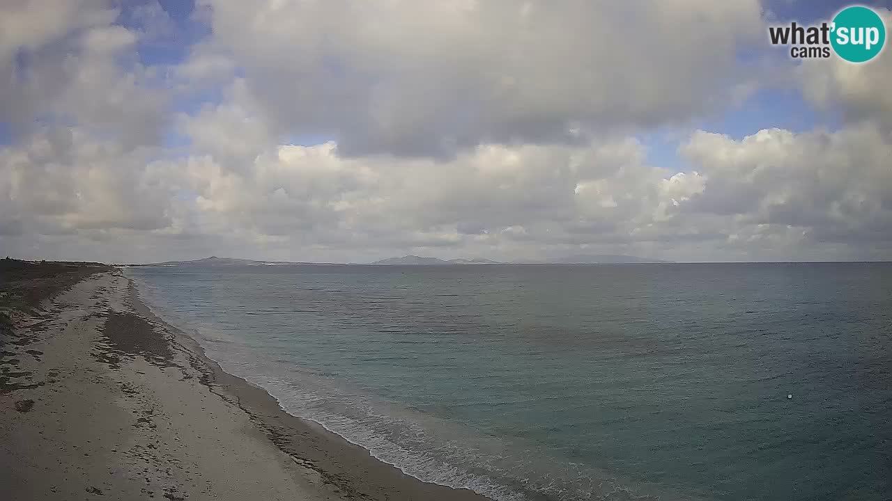 Plaža Le Saline web kamera Stintino – Sardinija