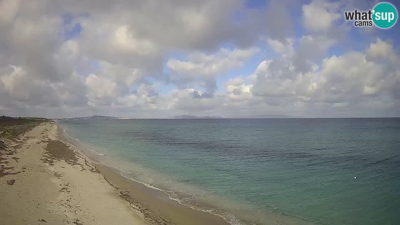 Playa Le Saline camera en vivo Stintino – Cerdeña