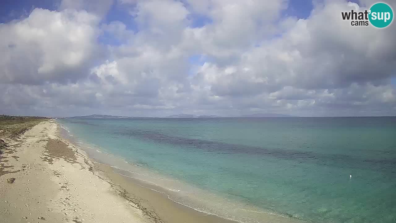 Plaža Le Saline web kamera Stintino – Sardinija