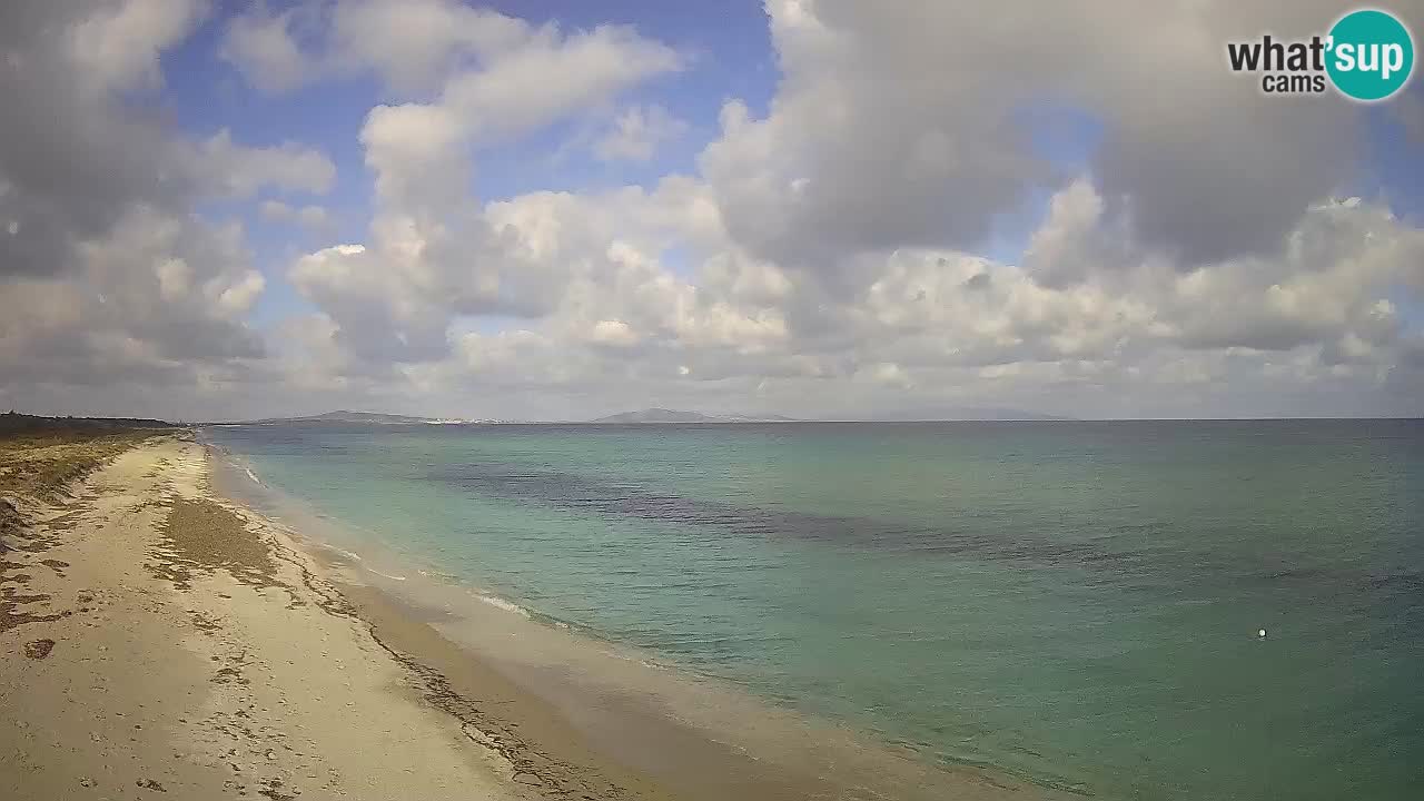 Strand Le Saline webcam Stintino – Sardinien