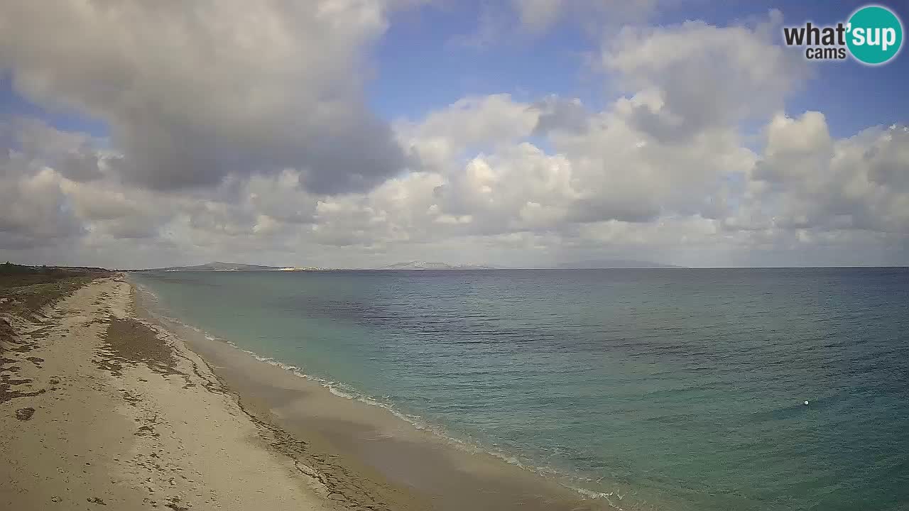 Plaža Le Saline web kamera Stintino – Sardinija