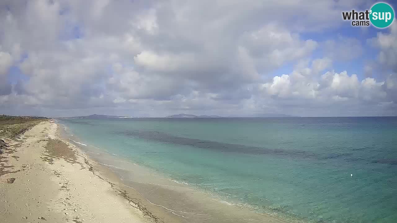 Plaža Le Saline spletna kamera Stintino – Sardinija