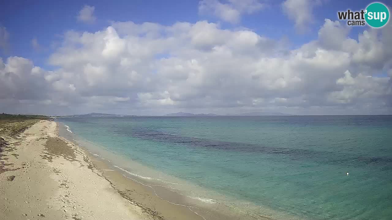 Plaža Le Saline spletna kamera Stintino – Sardinija