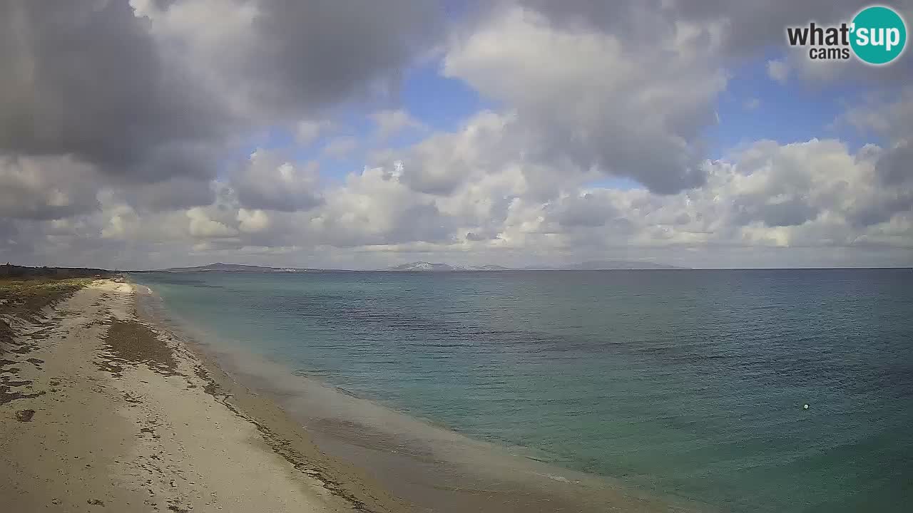 Plaža Le Saline web kamera Stintino – Sardinija