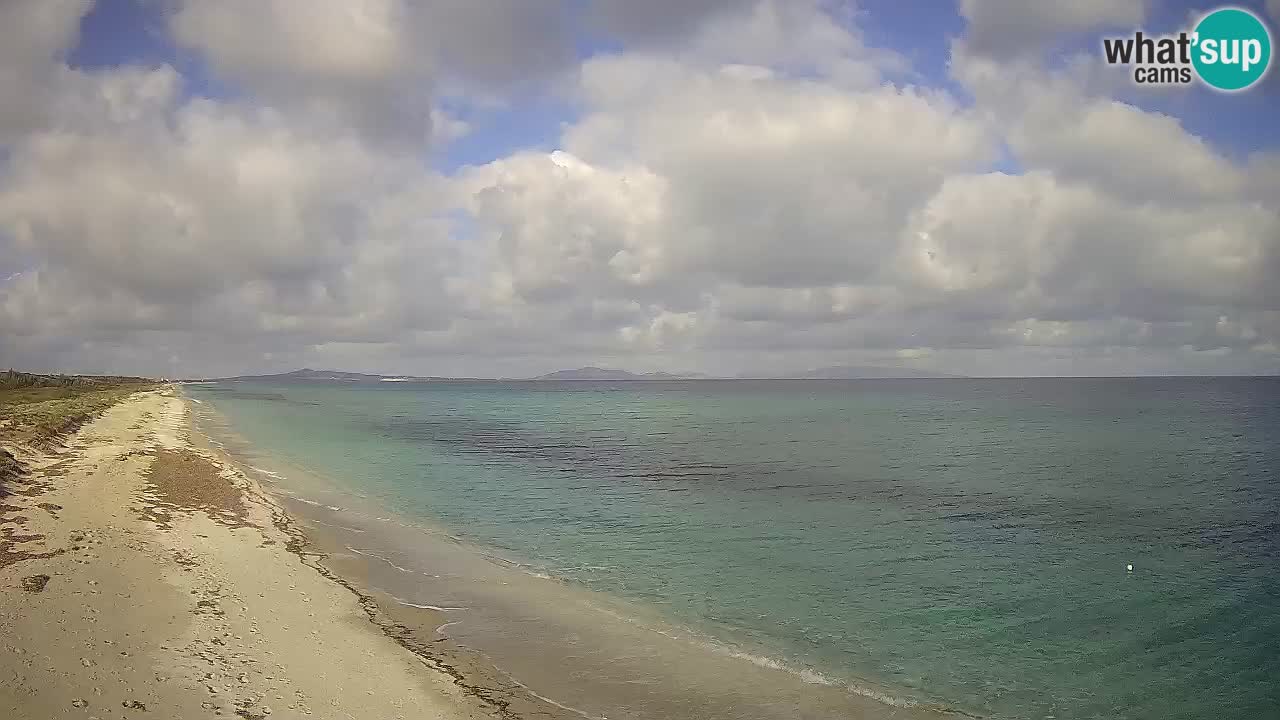 Plaža Le Saline web kamera Stintino – Sardinija