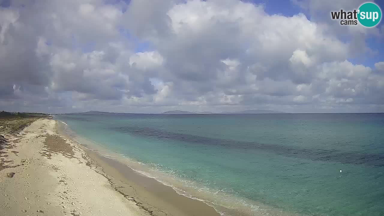 Strand Le Saline webcam Stintino – Sardinien