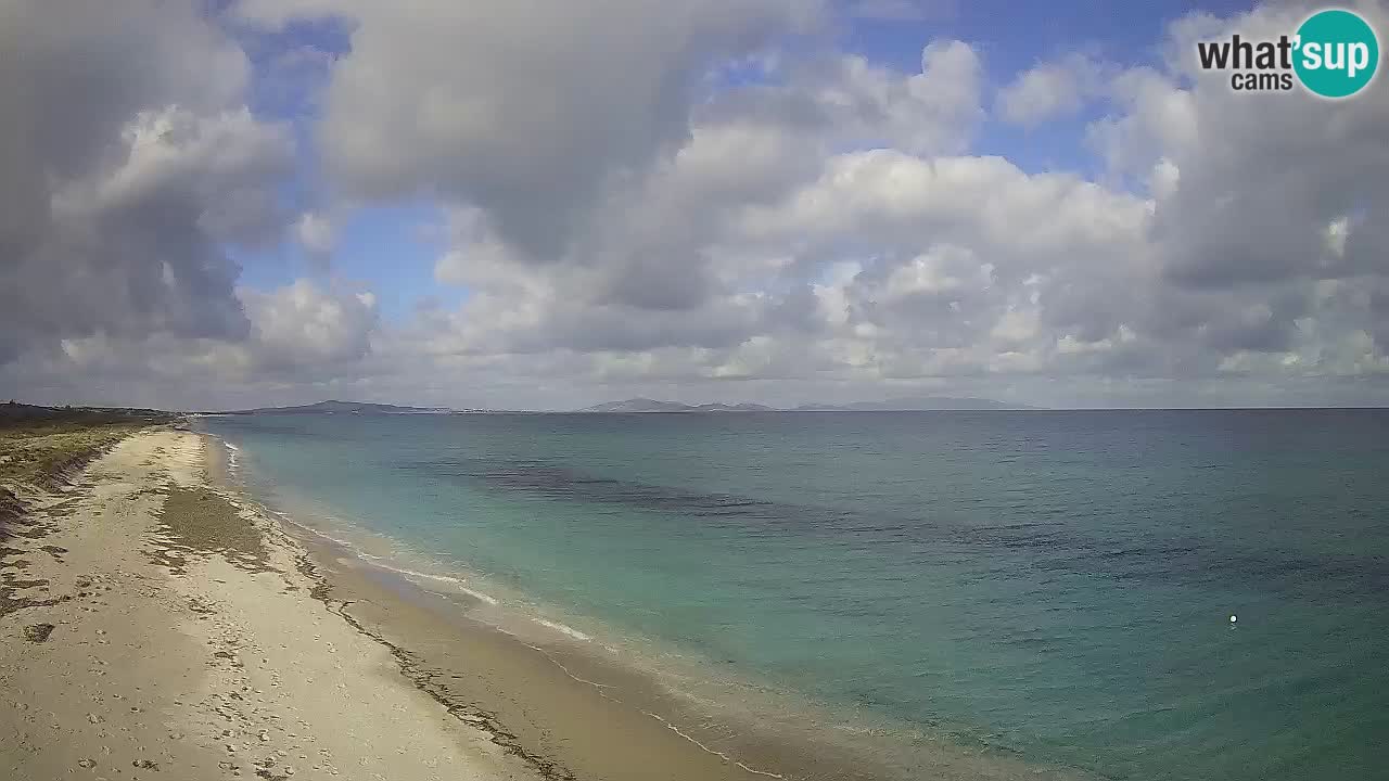 Plaža Le Saline web kamera Stintino – Sardinija