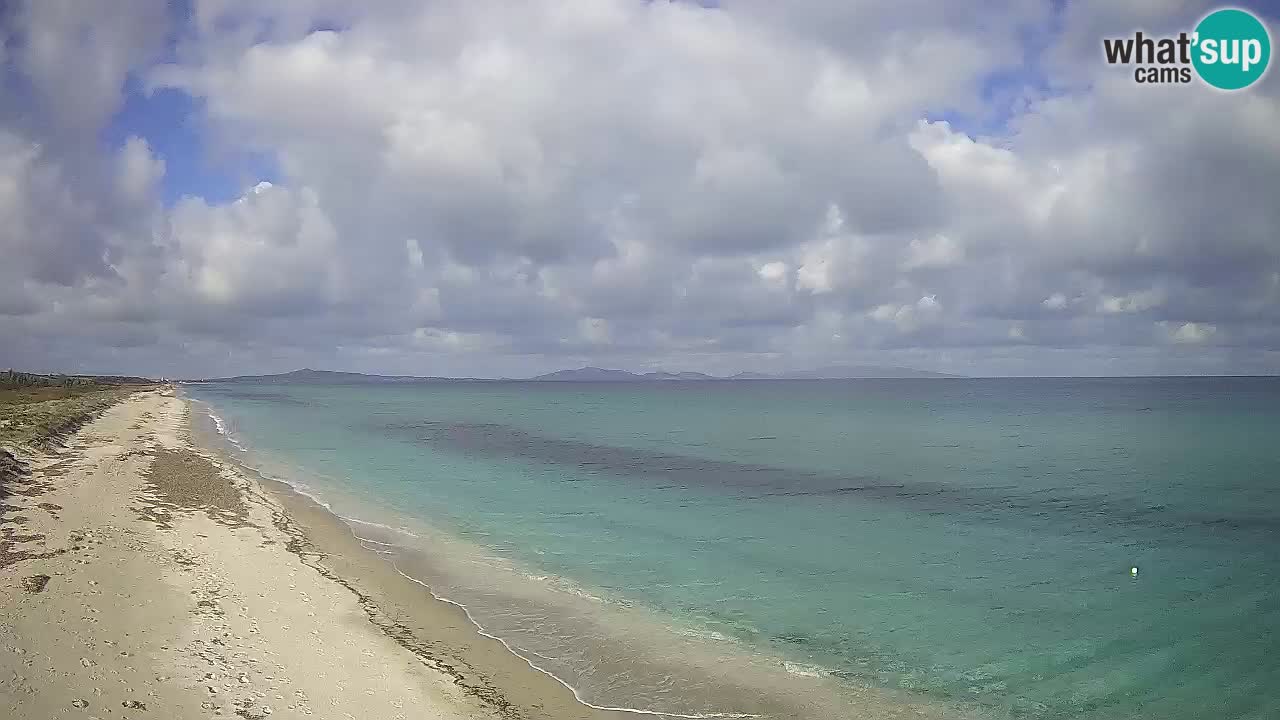 Plaža Le Saline spletna kamera Stintino – Sardinija