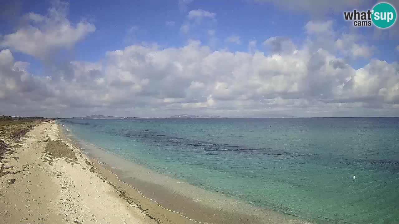 Strand Le Saline webcam Stintino – Sardinien