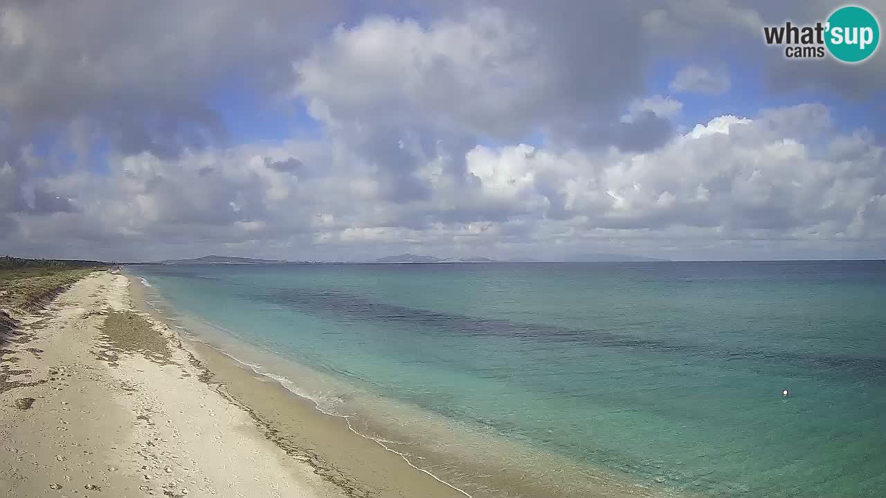 Plaža Le Saline web kamera Stintino – Sardinija