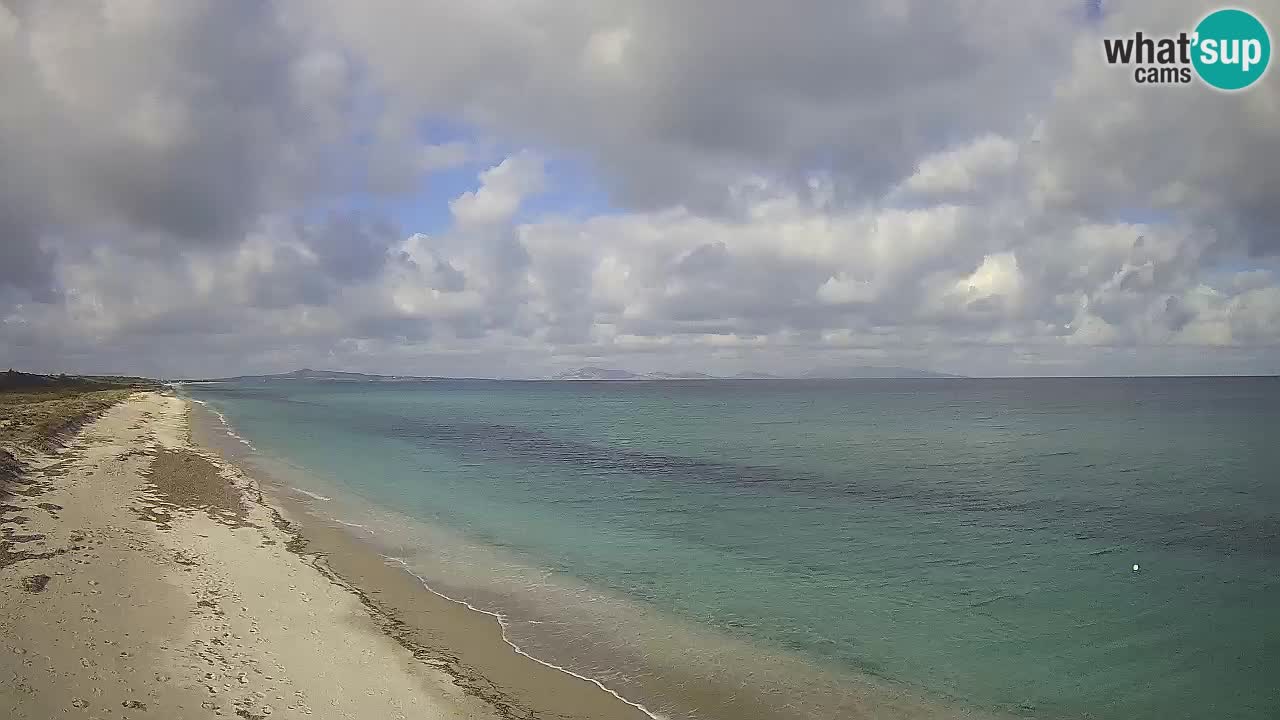 Playa Le Saline camera en vivo Stintino – Cerdeña