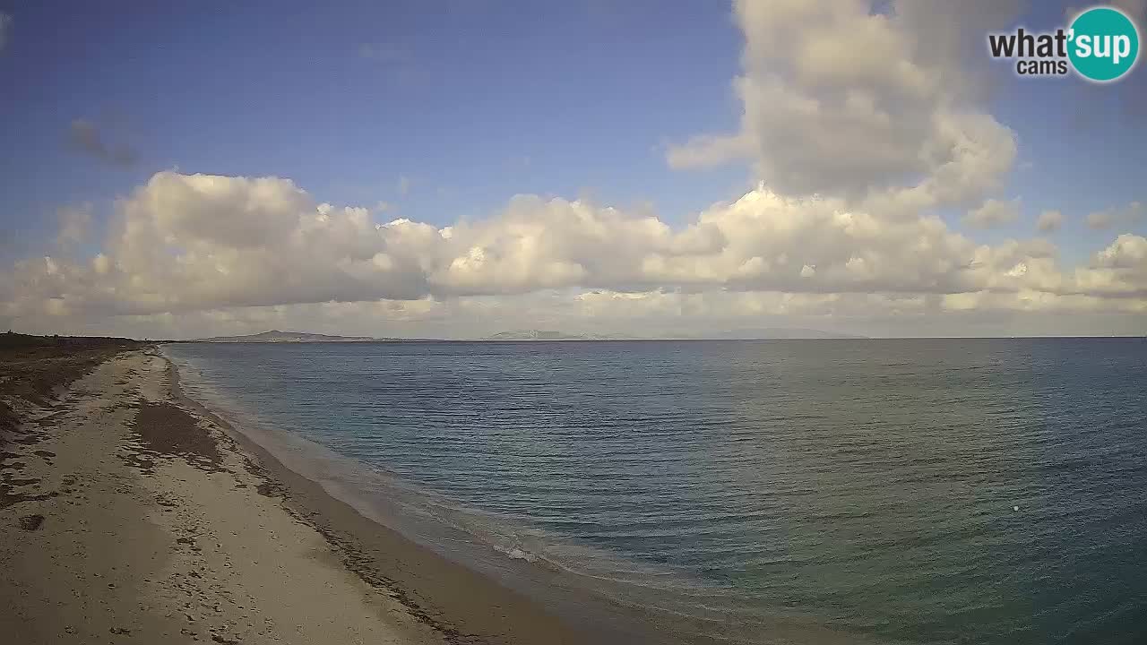 Playa Le Saline camera en vivo Stintino – Cerdeña