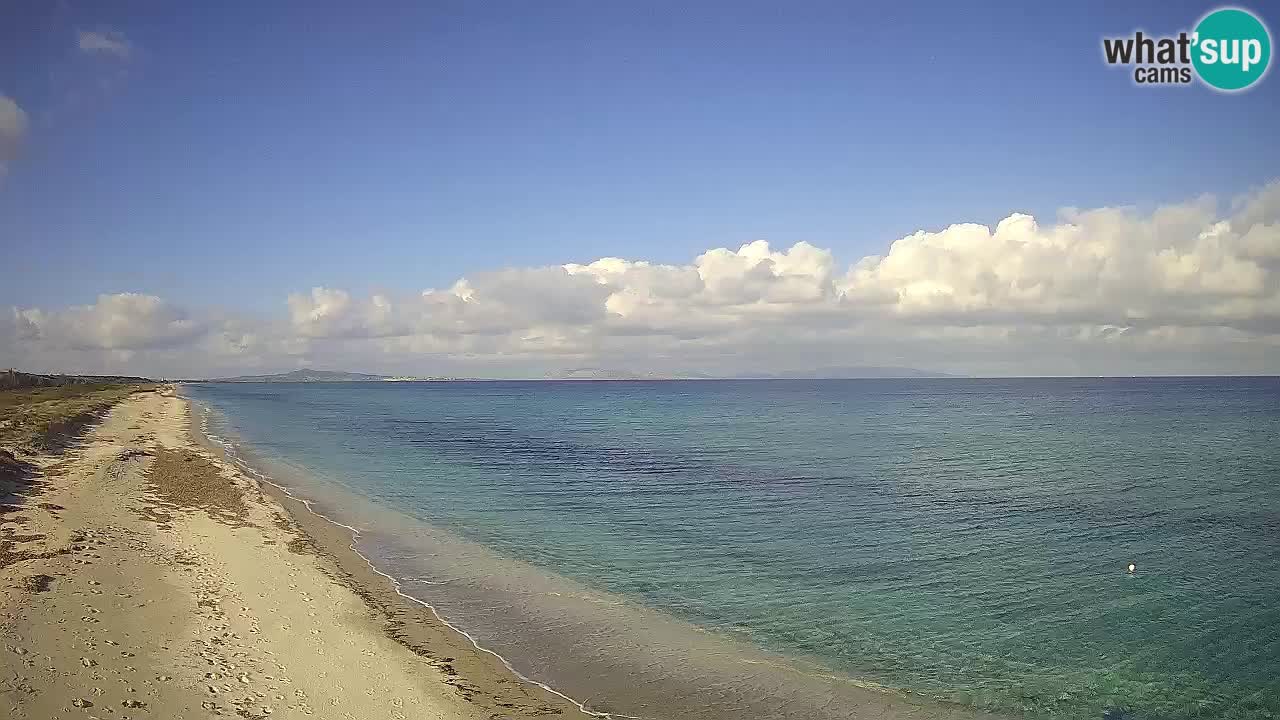 Playa Le Saline camera en vivo Stintino – Cerdeña