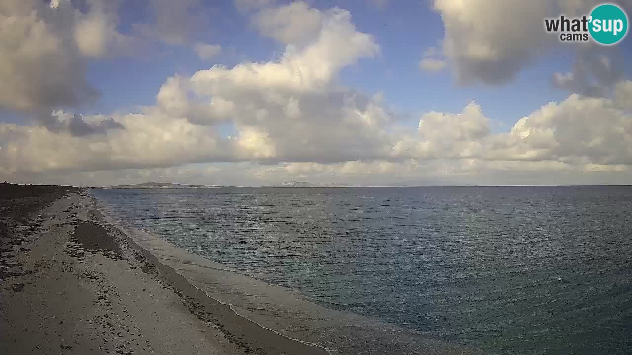 Playa Le Saline camera en vivo Stintino – Cerdeña