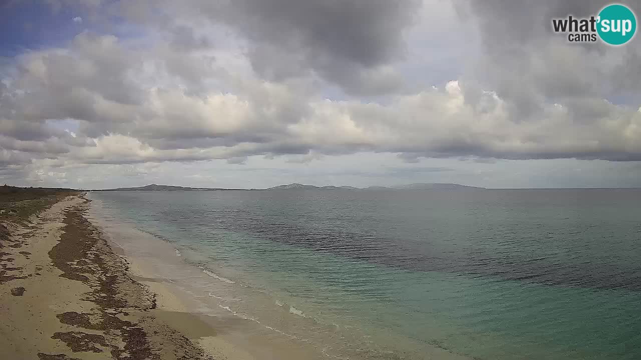 Spiaggia Le Saline webcam Stintino – Sardegna