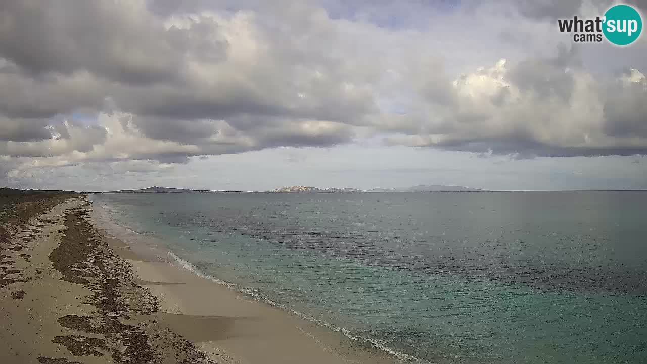 Plaža Le Saline spletna kamera Stintino – Sardinija