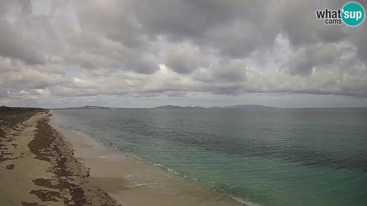 Spiaggia Le Saline webcam Stintino – Sardegna