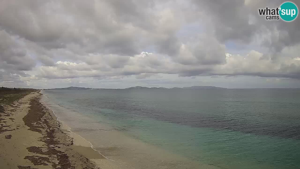 Spiaggia Le Saline webcam Stintino – Sardegna