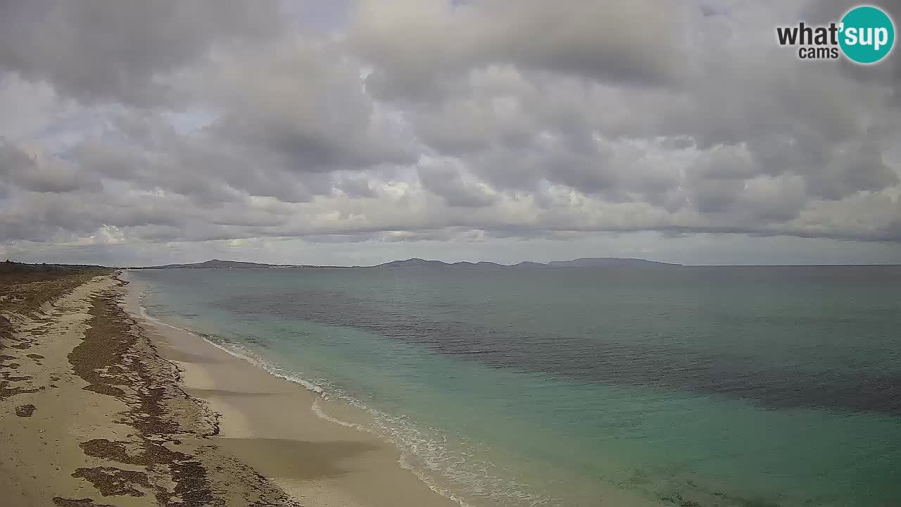 Strand Le Saline webcam Stintino – Sardinien