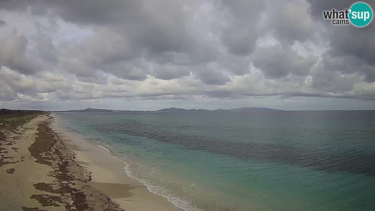 Plaža Le Saline spletna kamera Stintino – Sardinija