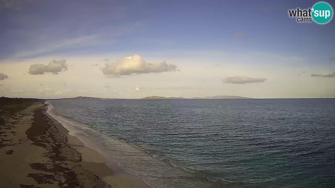 Plaža Le Saline spletna kamera Stintino – Sardinija