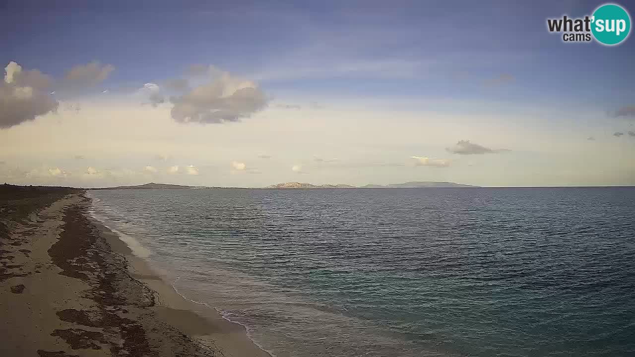 Playa Le Saline camera en vivo Stintino – Cerdeña