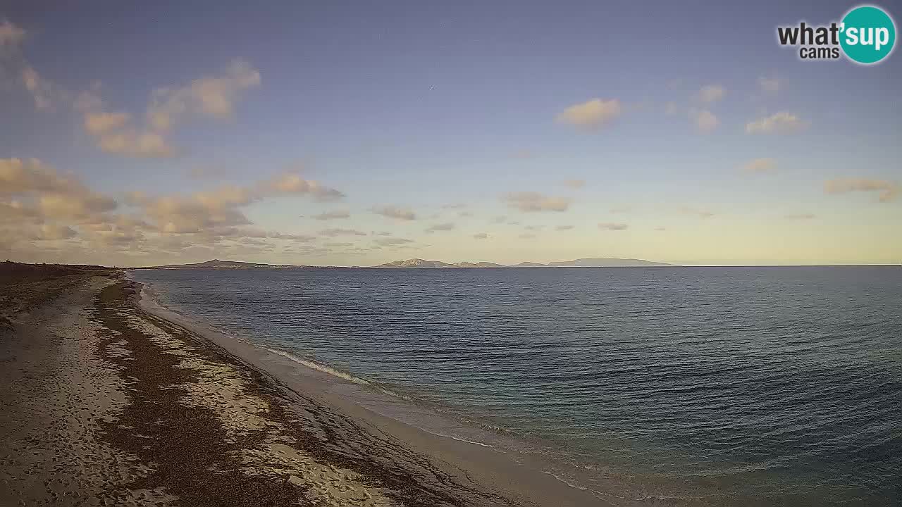 Beach Le Saline webcam live Stintino – Sardinia