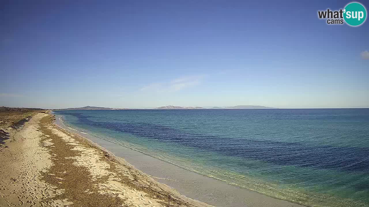 Beach Le Saline webcam live Stintino – Sardinia