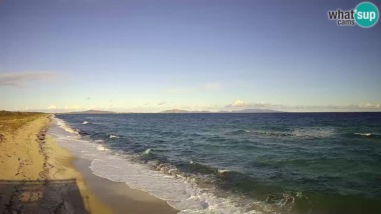 Strand Le Saline webcam Stintino – Sardinien