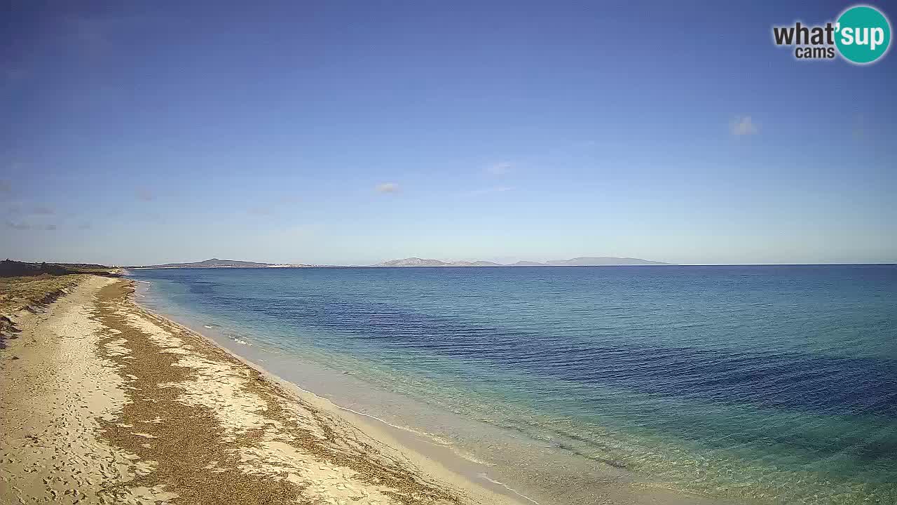 Beach Le Saline webcam live Stintino – Sardinia