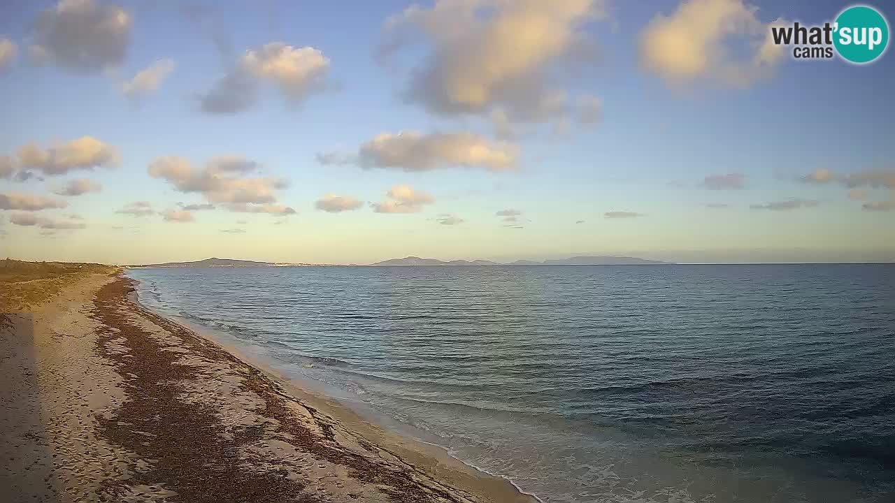 Beach Le Saline webcam live Stintino – Sardinia