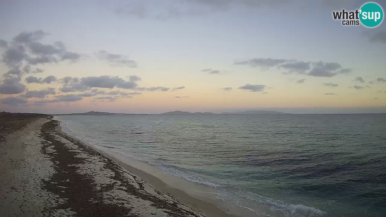 Beach Le Saline webcam live Stintino – Sardinia